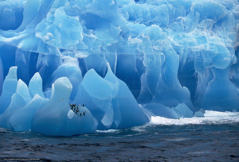 Penguins on Iceberg — Blue, Cold, Photograph, Birds, Ocean