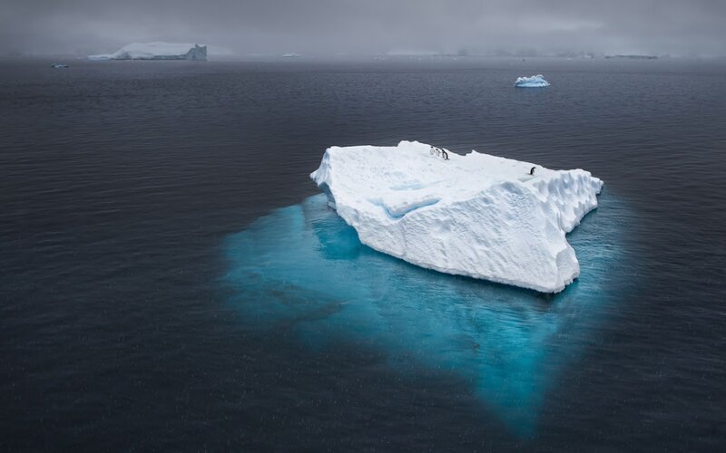 Penguins on Iceberg — Blue, Cold, Photograph, Ocean