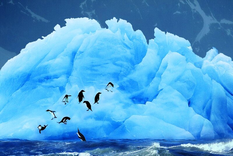 Penguins on Iceberg — Blue, Dramatic, Photograph, Ocean