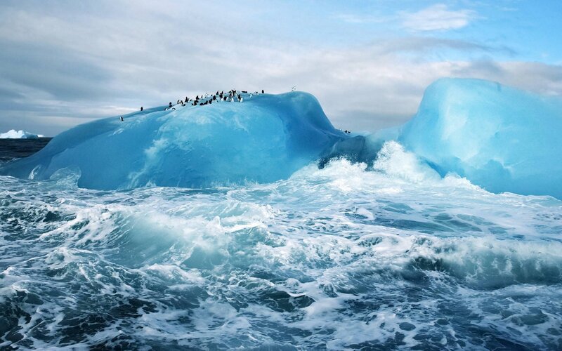 Penguins on Iceberg — Blue, Dramatic, Photograph, Ocean Waves