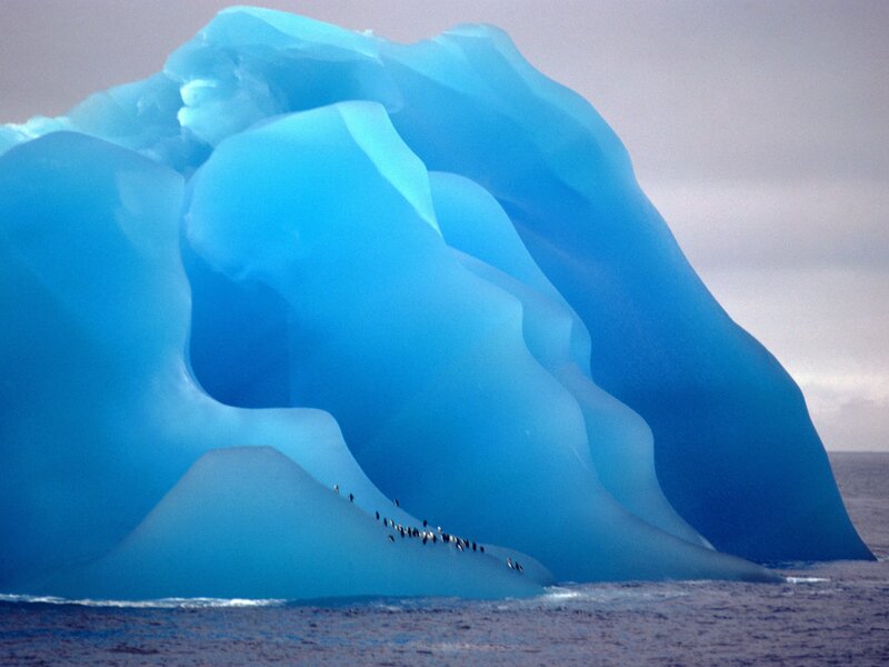 Penguins on Iceberg — Blue, Serene, Photograph