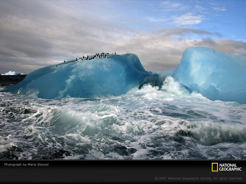 Penguins on Iceberg — Clouds