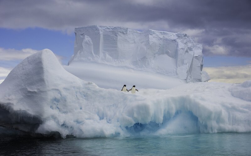 Penguins on Iceberg — White, Dramatic, Photograph, Clouds