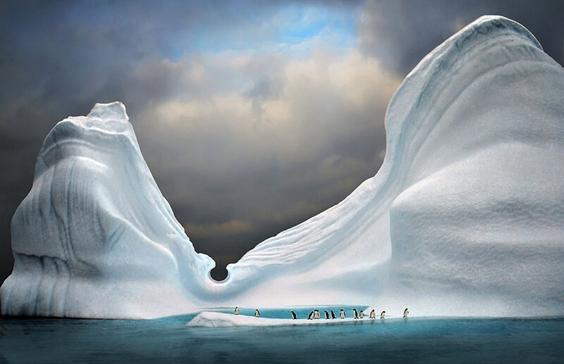 Penguins on Iceberg — White, Dramatic