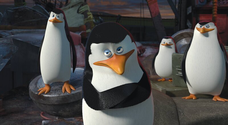 Penguins on Metal Structure