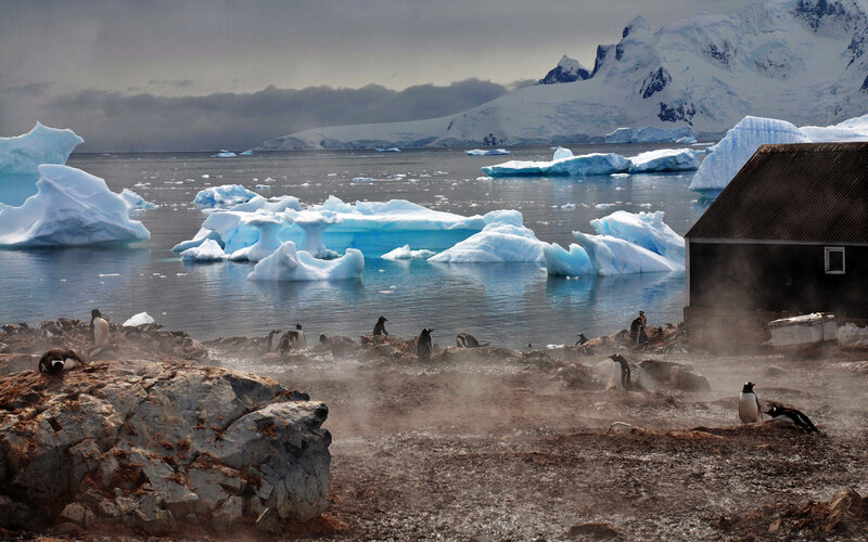 Penguins on Rocky Shore — Blue