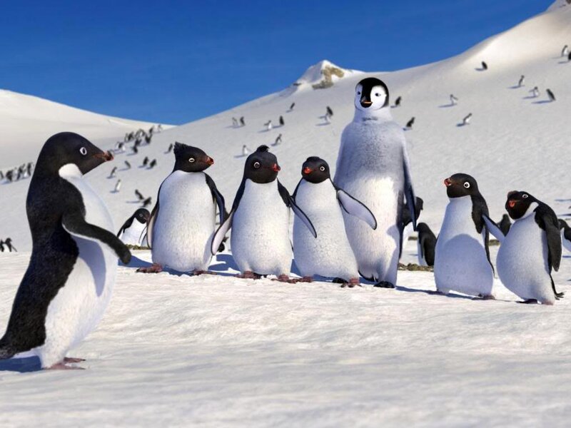 Penguins on Snow — White