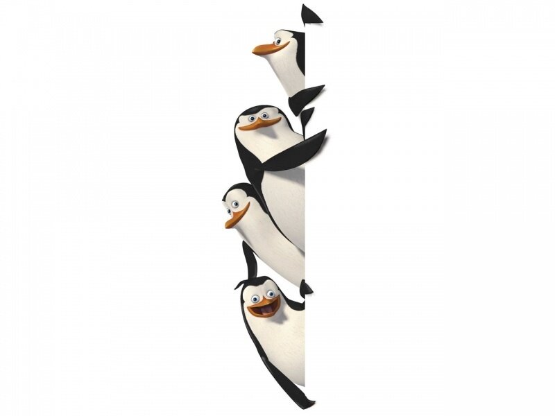 penguins peeking from behind a wall