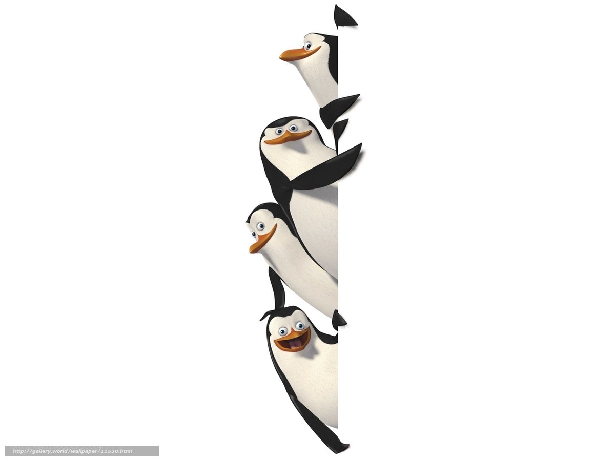penguins peeking from behind