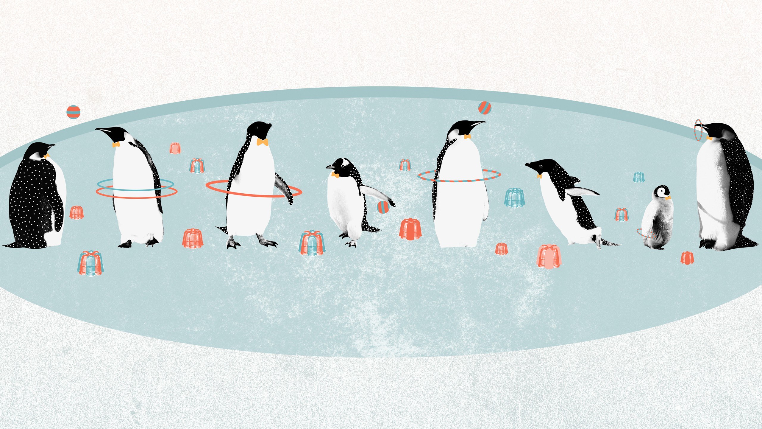 Penguins playing with hoops
