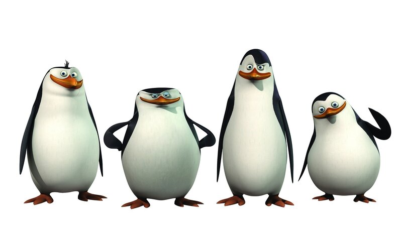 Penguins Standing in a Row
