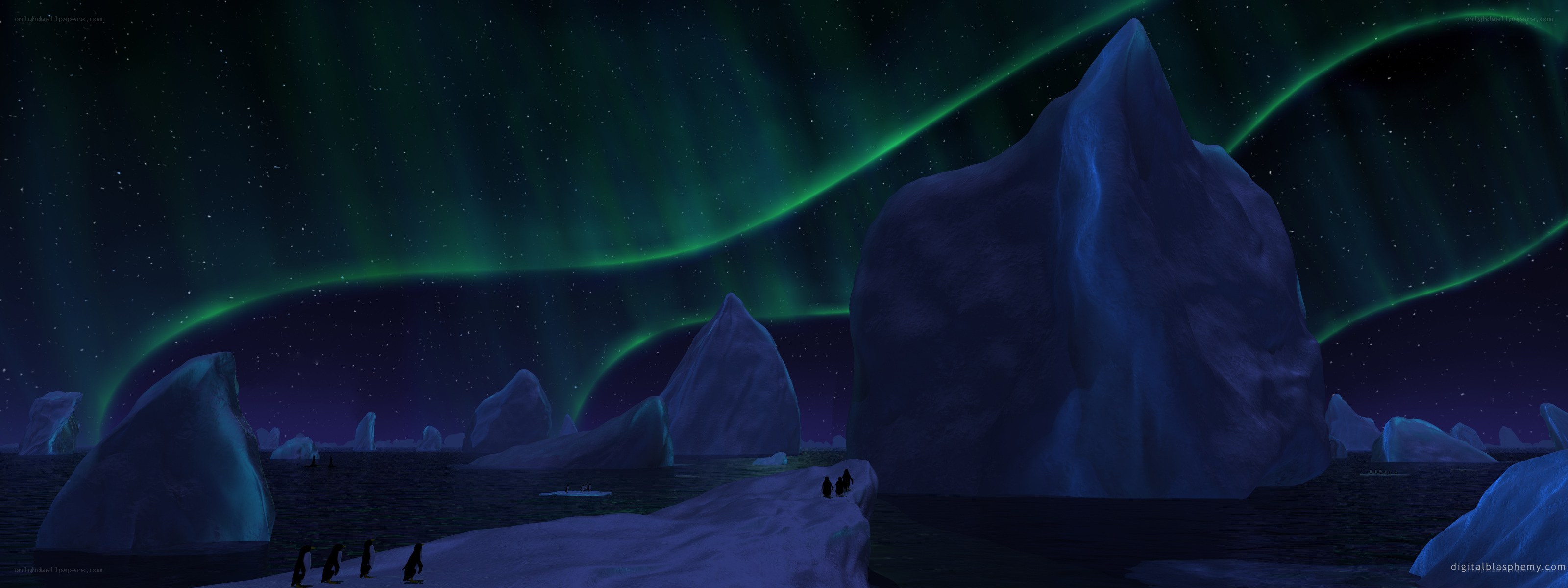 Penguins under aurora borealis