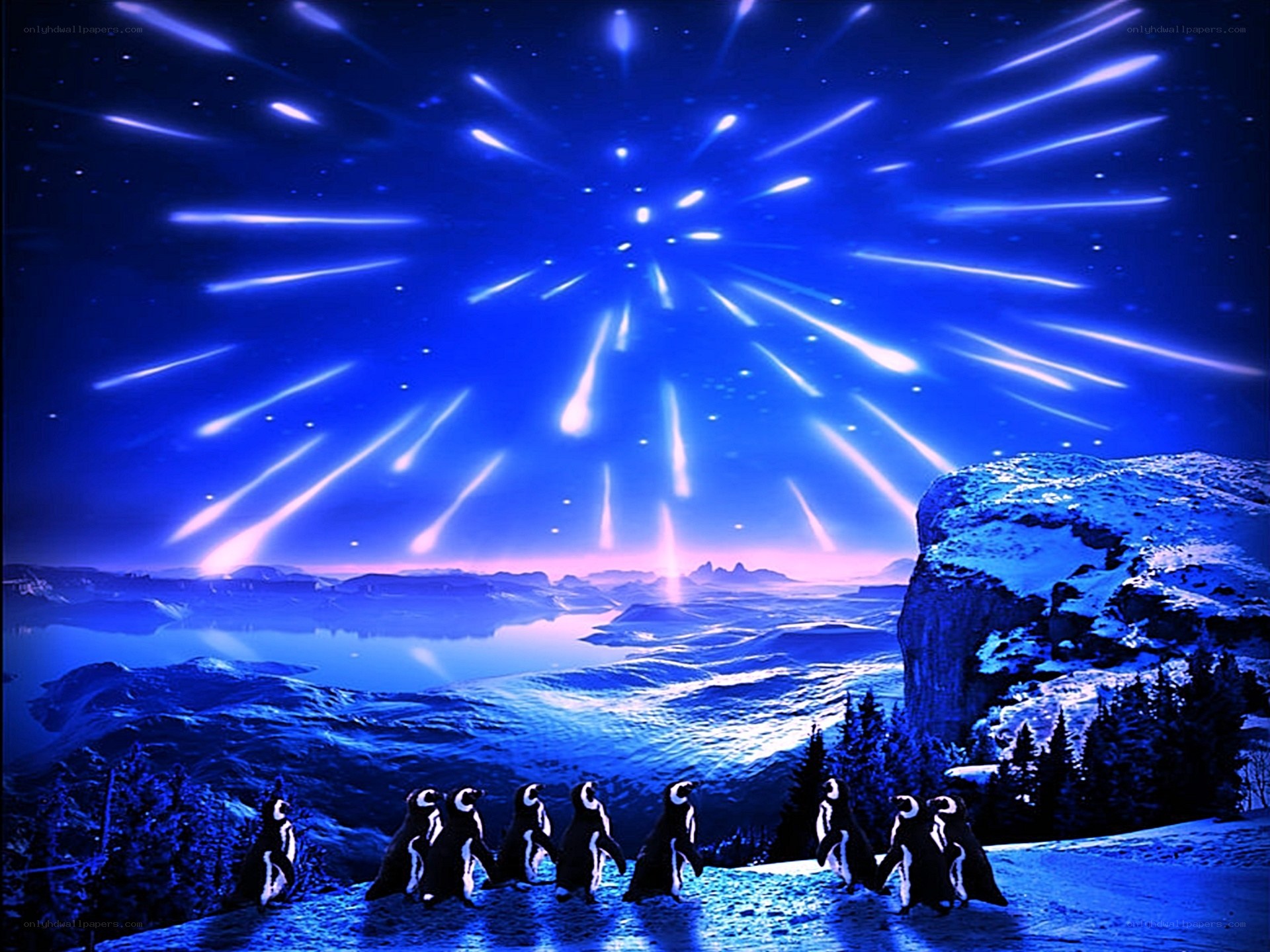 Penguins watching meteor shower