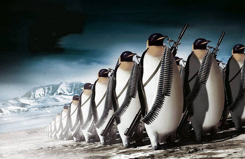 Penguins with Guns — White