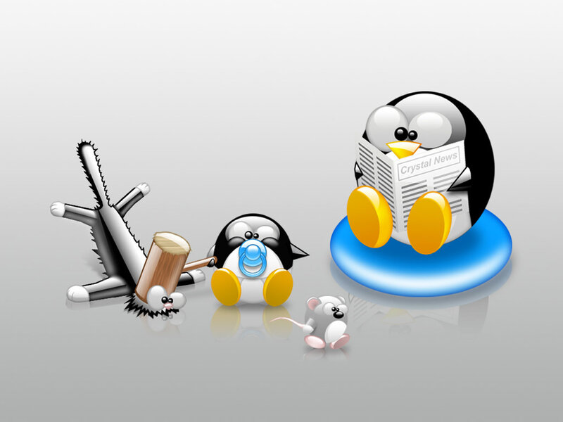 Penguins with newspaper and hammer