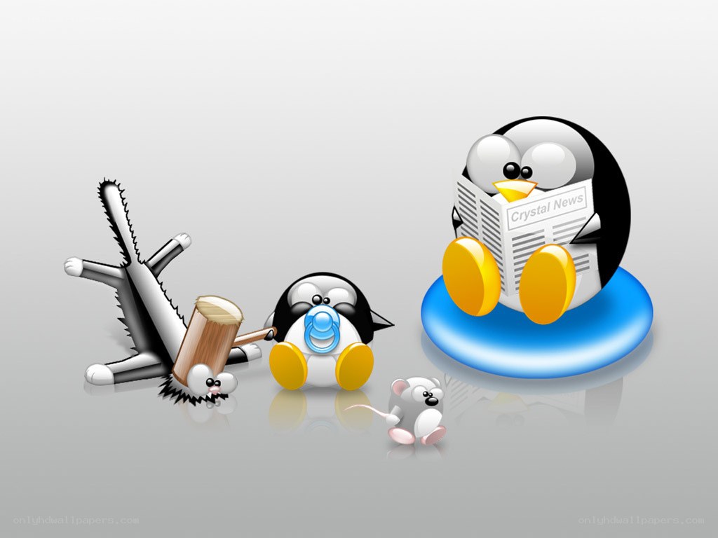 Penguins with newspaper and hammer