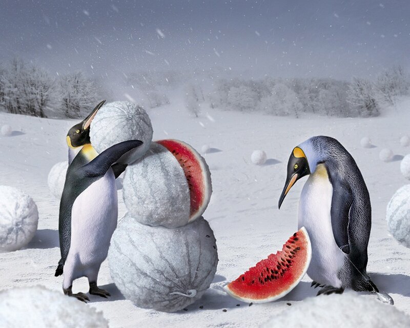 Penguins with Watermelons — White