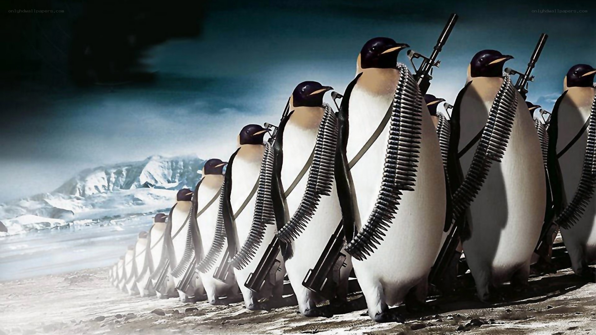 penguins with weapons