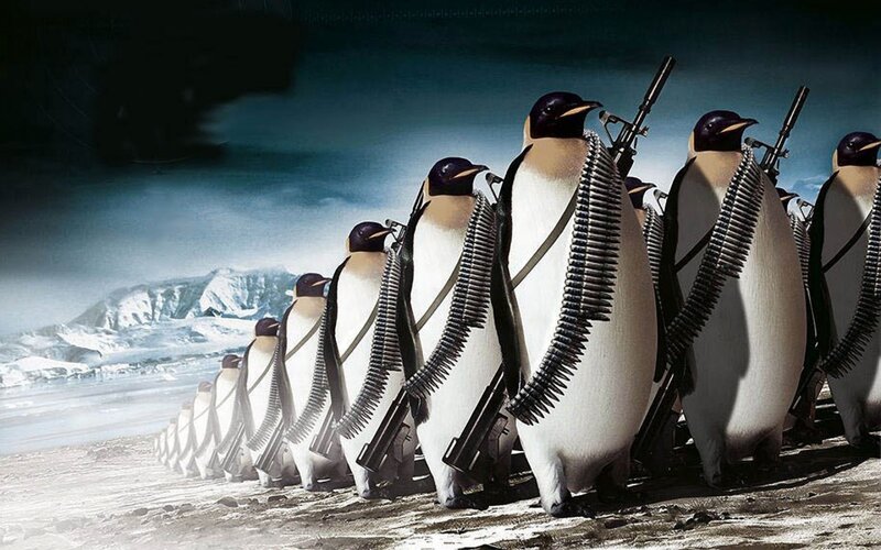 penguins with weapons
