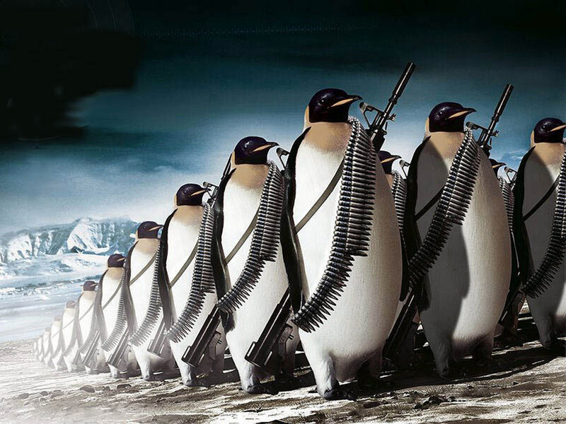 Penguins with Weapons — White, Dramatic