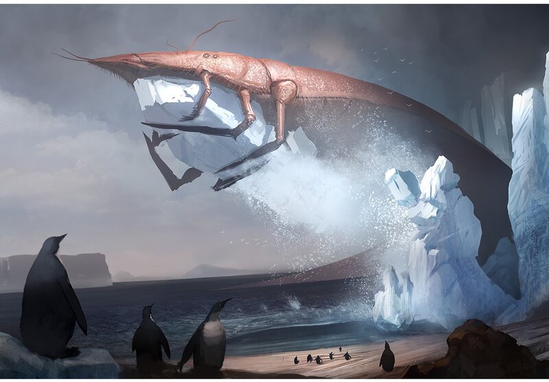 Penguins witness giant crustacean