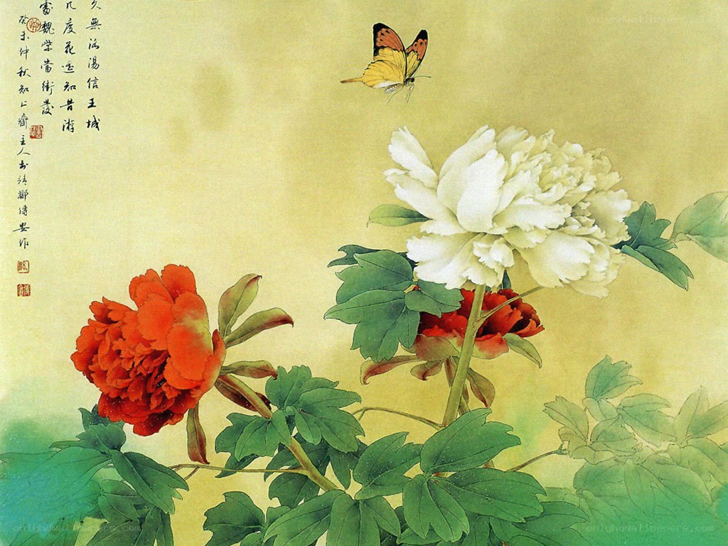 Peonies and a butterfly