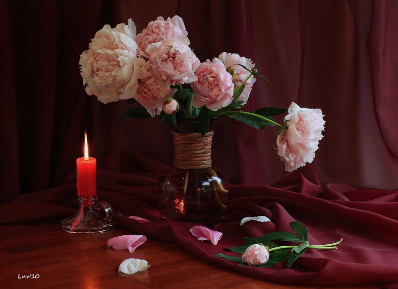 Peonies and candle still life
