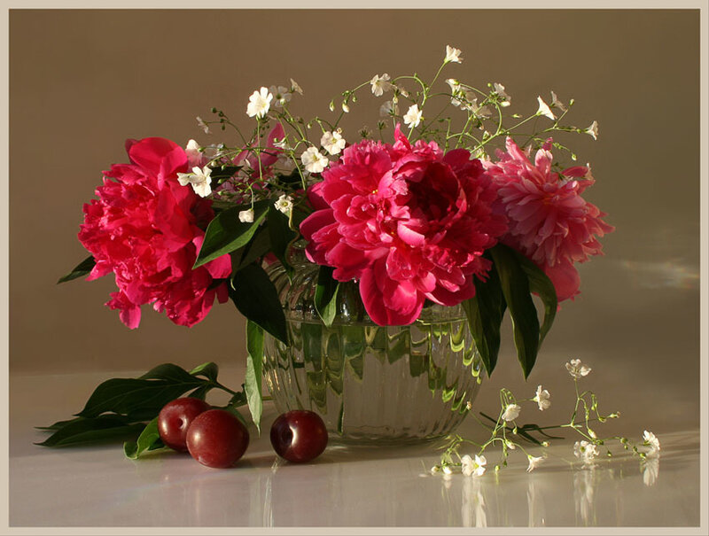 Peonies and plums in a vase