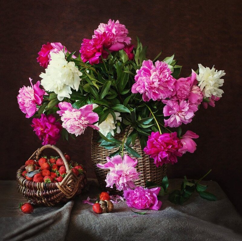 Peonies and Strawberries — Pink, Calm