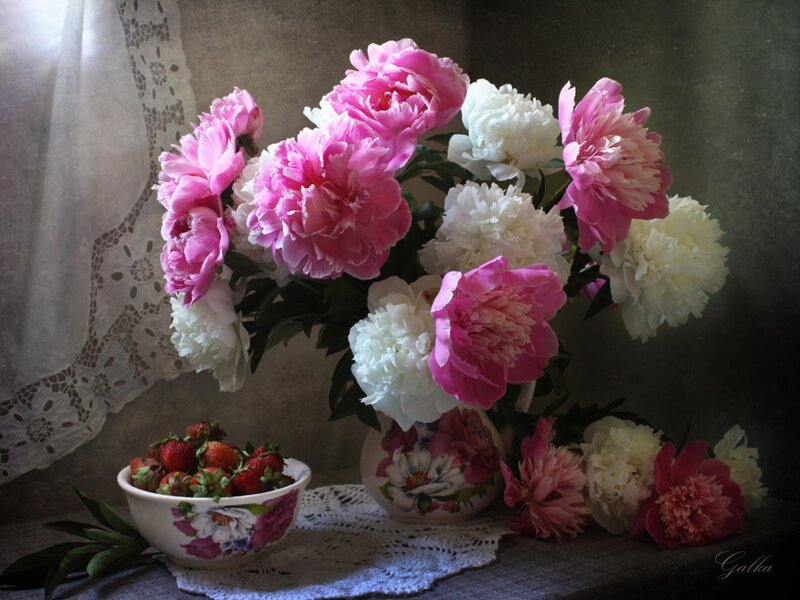 Peonies and Strawberries — Pink