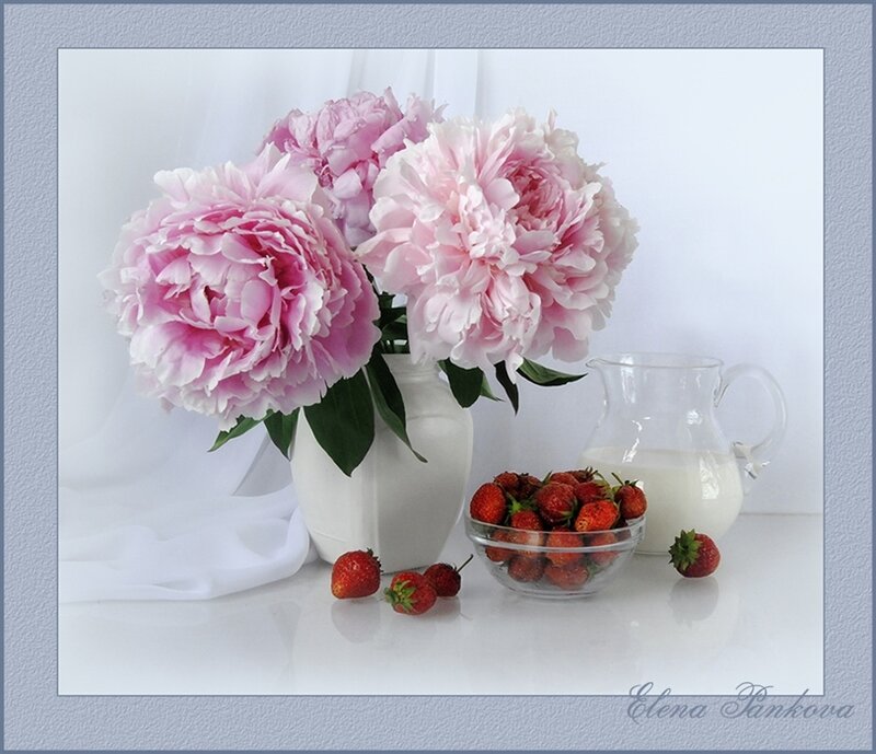 Peonies and strawberries still life
