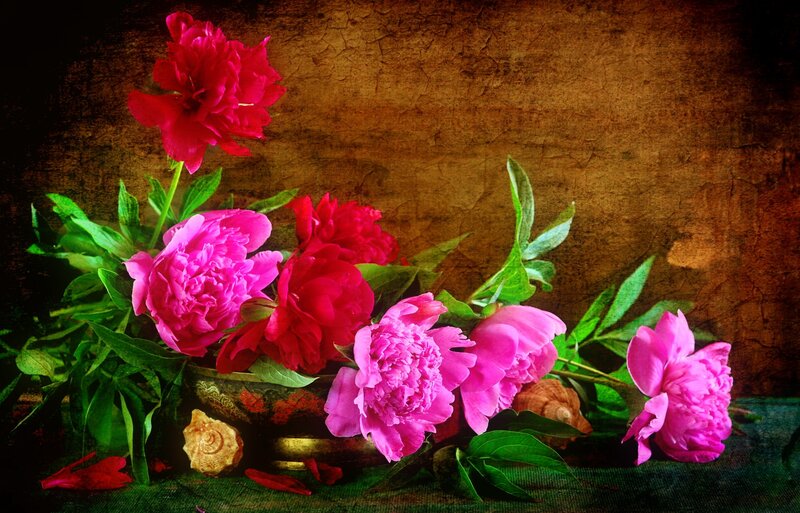 Peonies in a Bowl