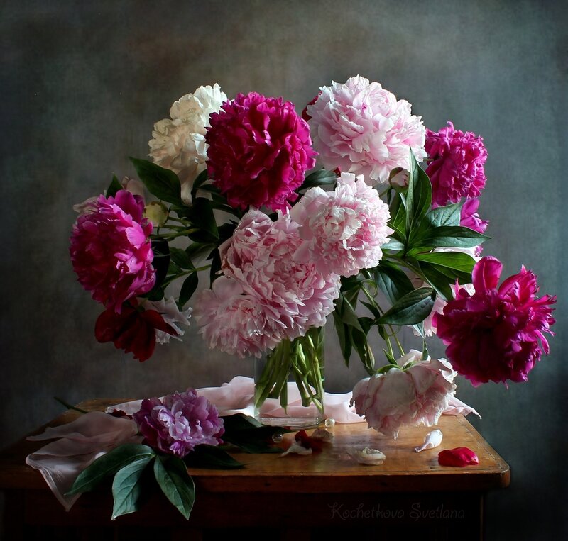 Peonies in a Vase — Pink, Dramatic, Photograph