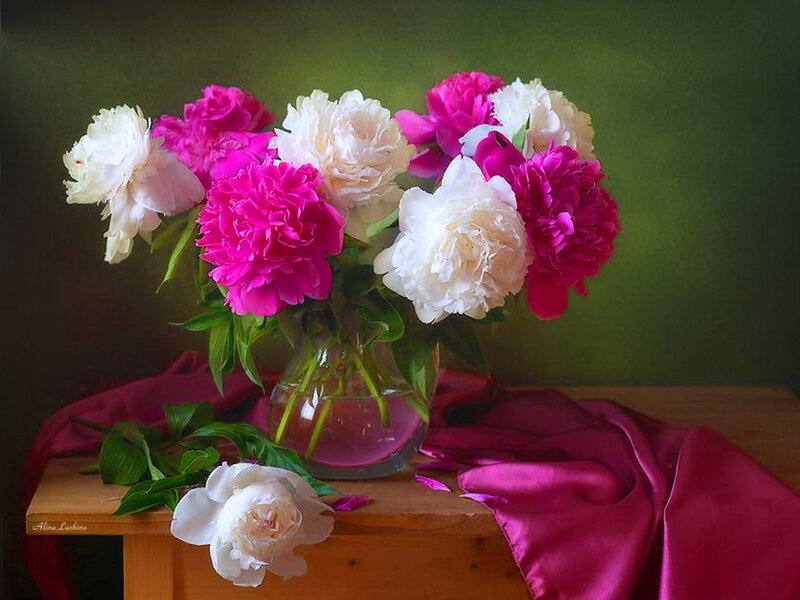 Peonies in a Vase — Pink, Serene