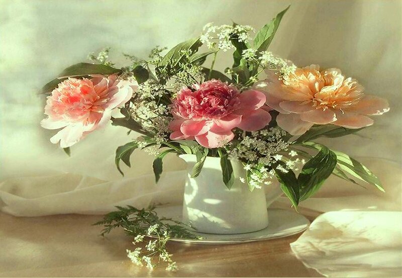 Peonies in a Vase — Pink