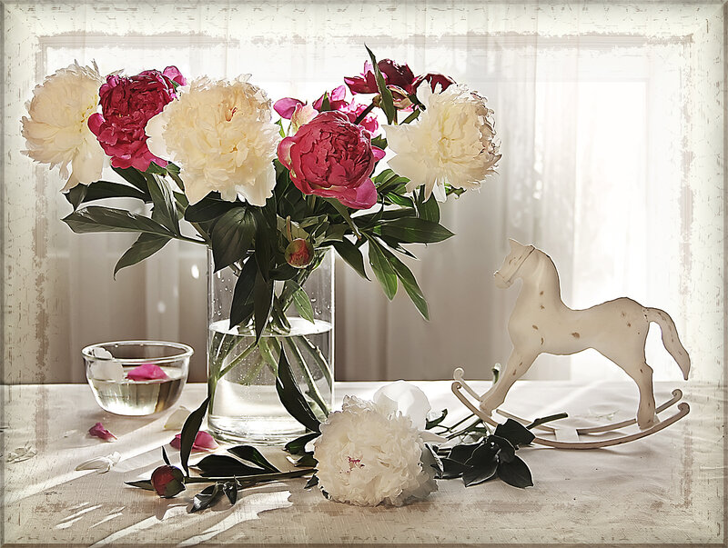 Peonies in a Vase — White, Serene