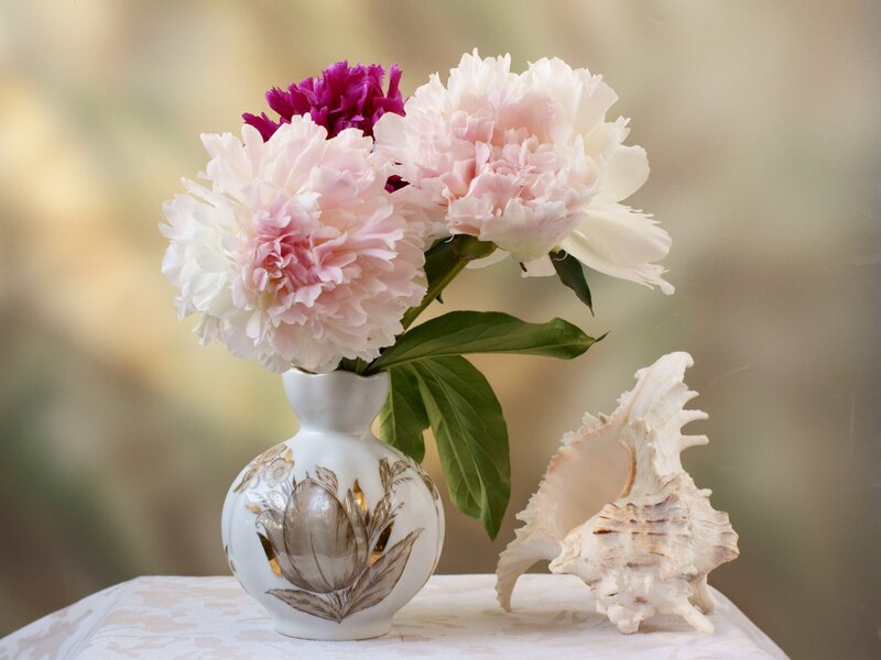Peonies in a vase with seashell