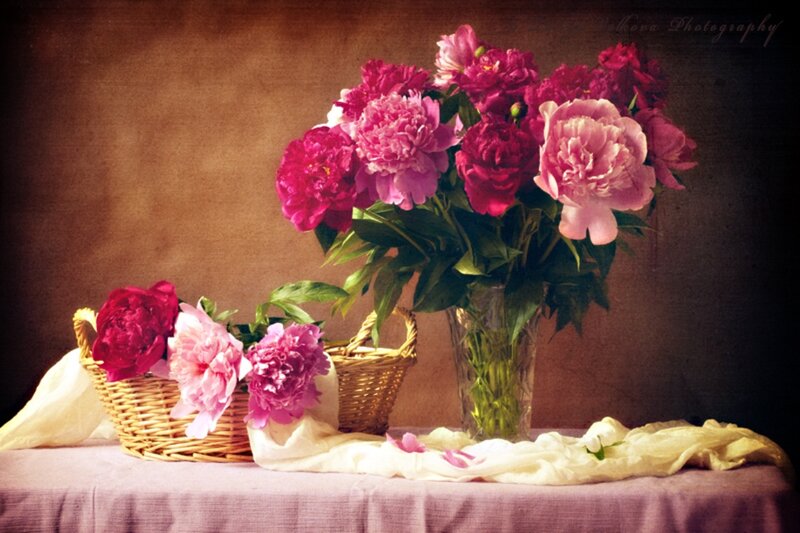 Peonies in Baskets