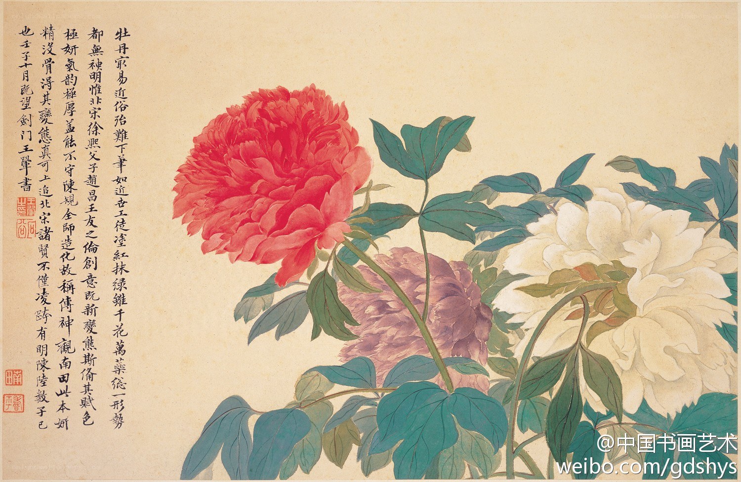 Peonies in bloom