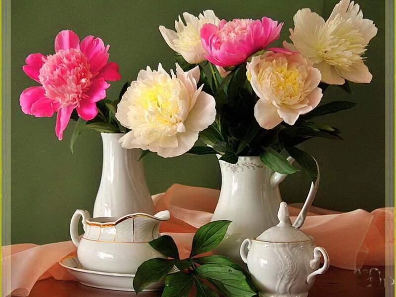 Peonies in Vases — Green