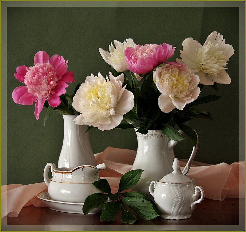 Peonies in white vases