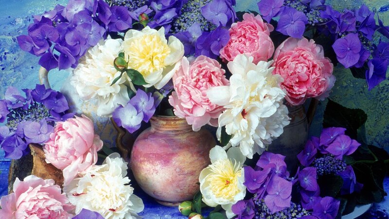 Peony and Hydrangea Bouquet — Purple, Calm, Photograph