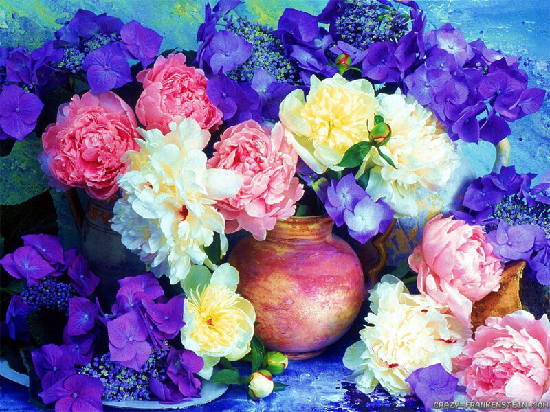 Peony and Hydrangea Bouquet — Purple, Colorful