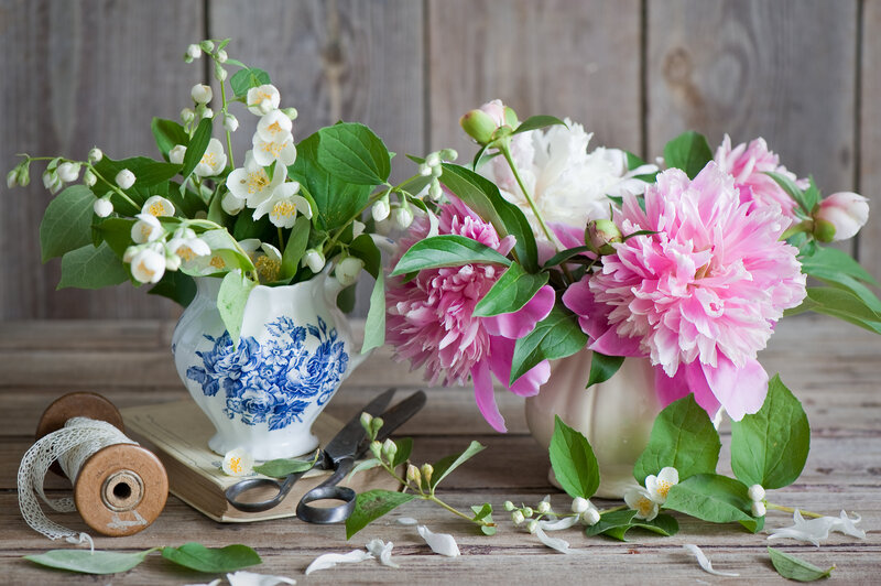 Peony and Jasmine Flowers