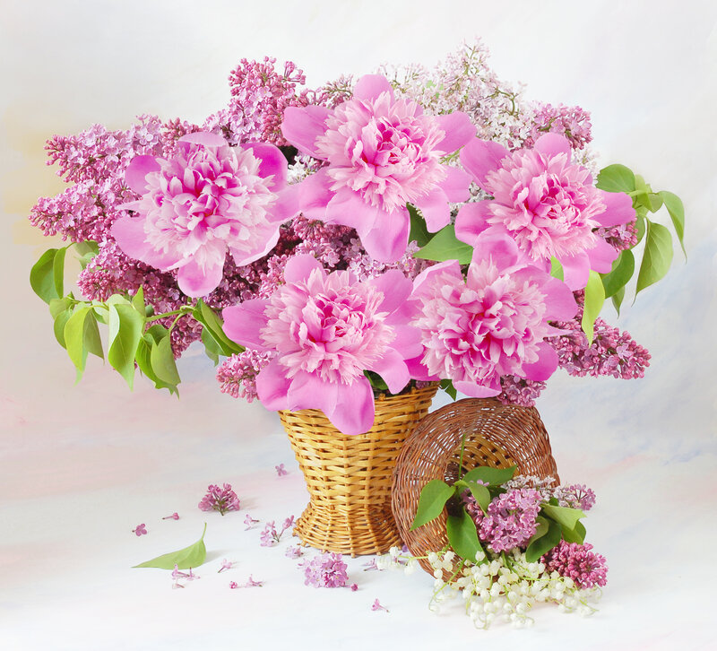 Peony and Lilac Bouquet — Pink