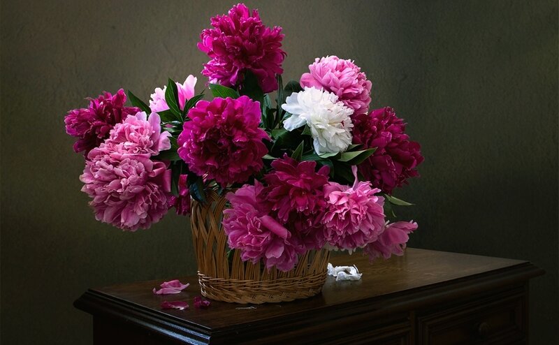 Peony Bouquet in Basket — Pink, Dramatic, Photograph, Table