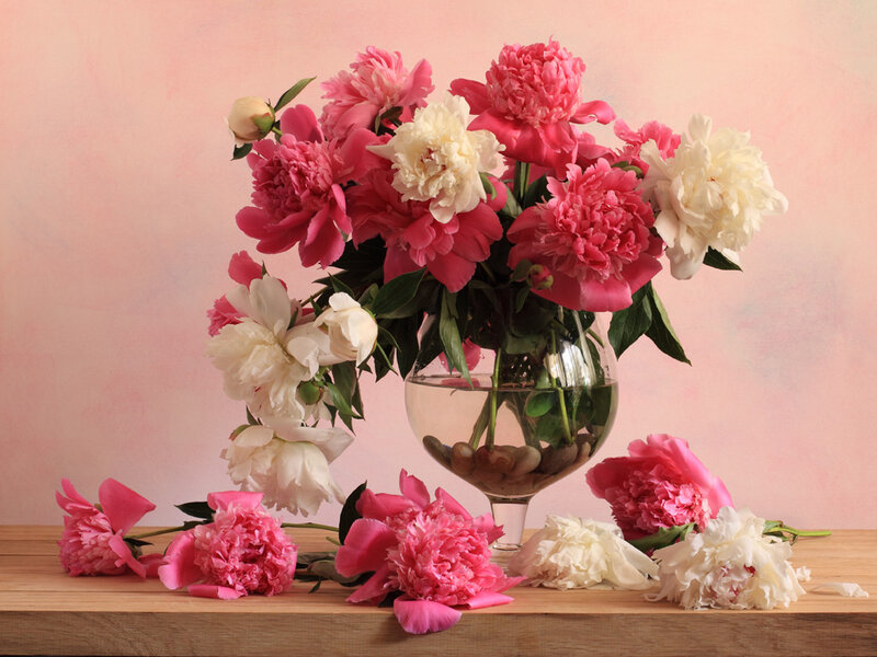 Peony Bouquet in Vase — Pink, Calm, Photograph, Wooden Surface