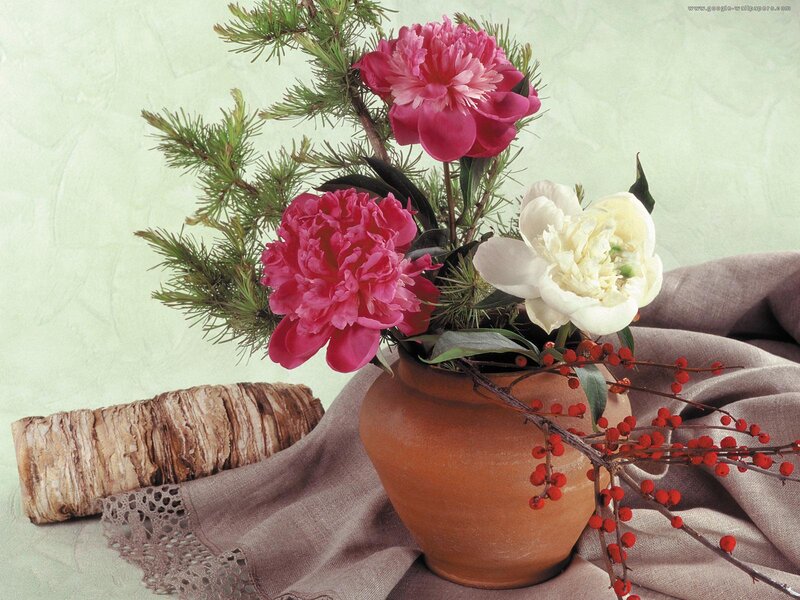 Peony Bouquet in Vase — Pink, Calm