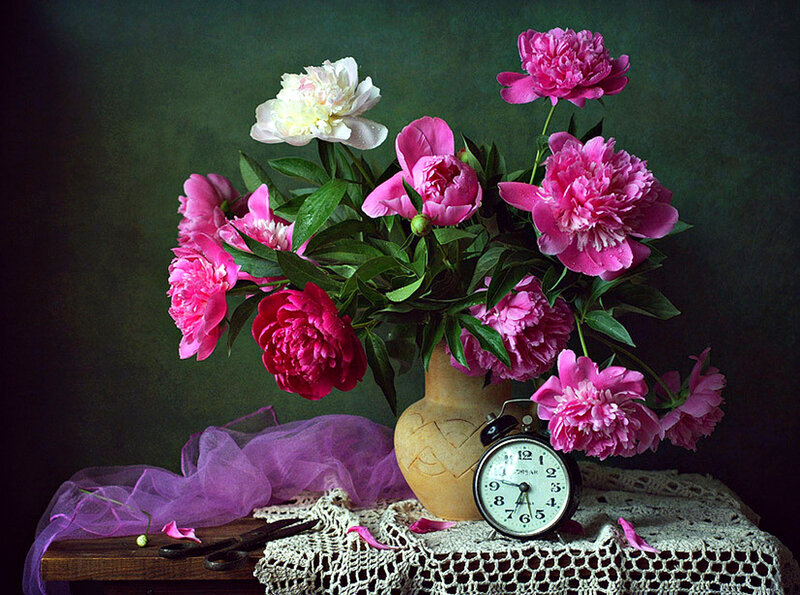 Peony Bouquet in Vase — Pink, Dramatic, Photograph