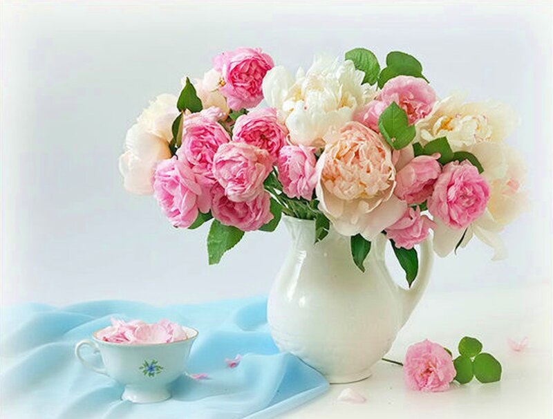 Peony Bouquet in Vase — Pink, Serene, Photograph, Teacup, Fabric